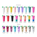 24oz Double Wall Acrylic Tumbler With Straw