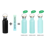 Double Vacuum Insulated Water Bottle